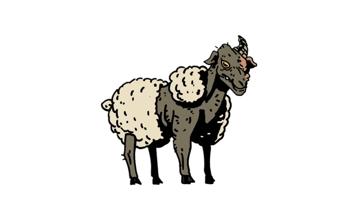 Sheep